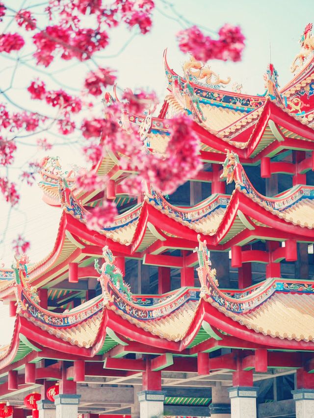 禪意縈繞｜探尋廈門天竺岩寺的千年靜謐】**  