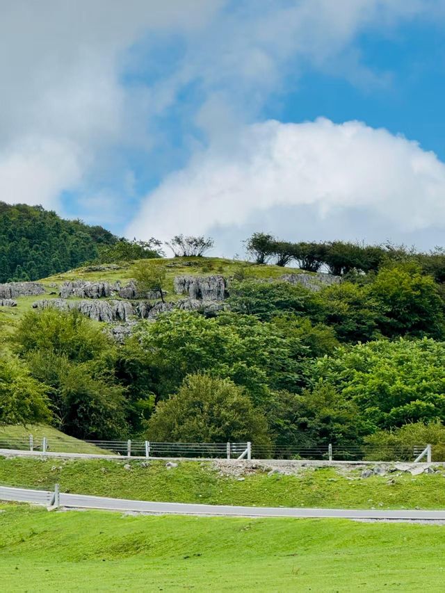 仙女山露營避暑指南——星空草原+天然冷氣，夏日逃離計劃！