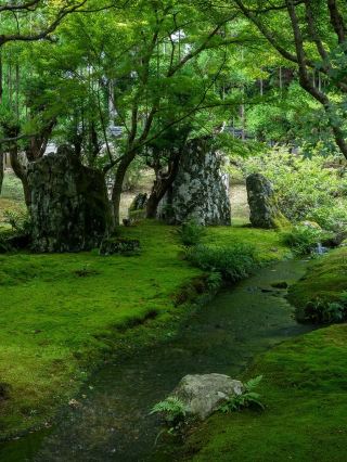 京都小眾庭院之旅 | 發掘隱藏城市中的靜謐之美