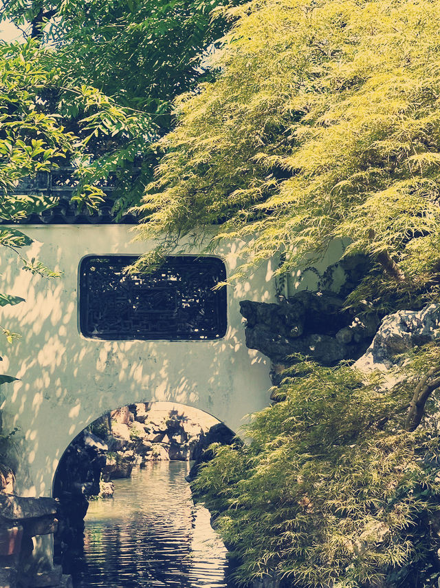 Yu Garden Shanghai - a Taste of China 