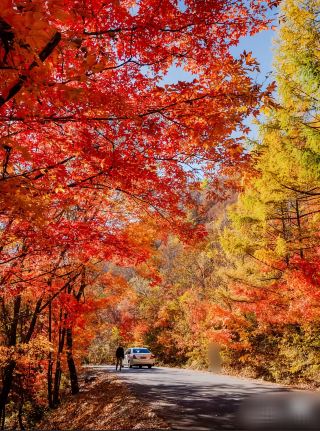 Bashan Grand Canyon, Xuanhan County