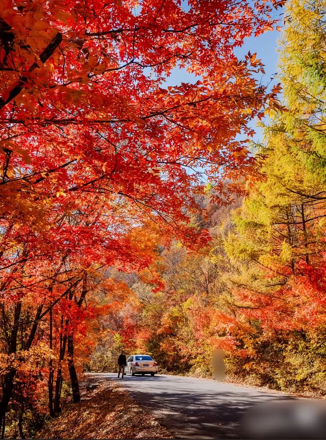 宣漢縣巴山大峽谷