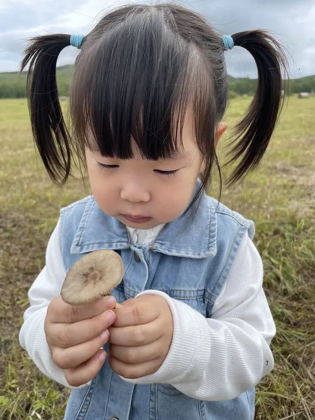帶娃旅行2歲10個月內蒙之旅！詳細攻略