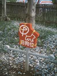 秋日人氣打卡熱點推薦  安徽蕪湖