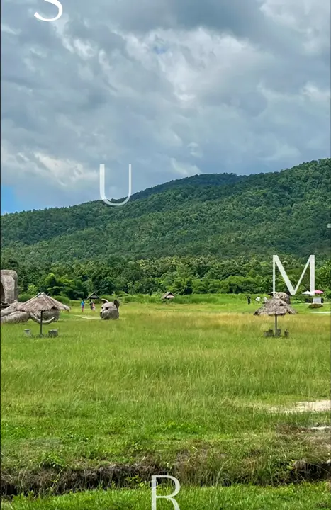 Vlog | Chiang Mai Day Trip: Mountain Park, Crispy Pork & Night Safari experience true Thailand!🌄