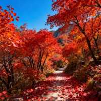 藏在晉南的千年秘境:雲丘山全攻略,冰洞與古村的雙重奇遇