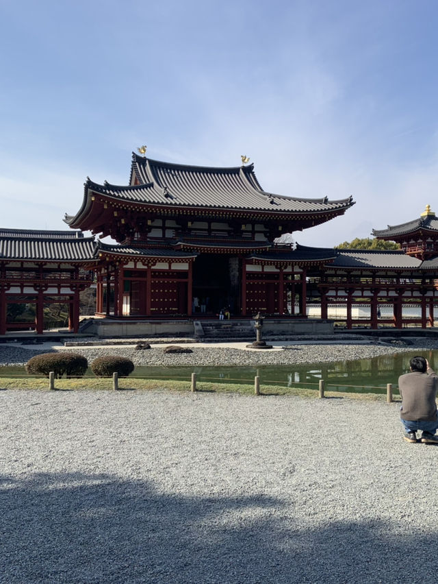 奈良宇治古都慢活之旅🌸  