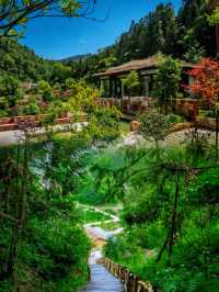 探秘仙境張家界，住進山水畫