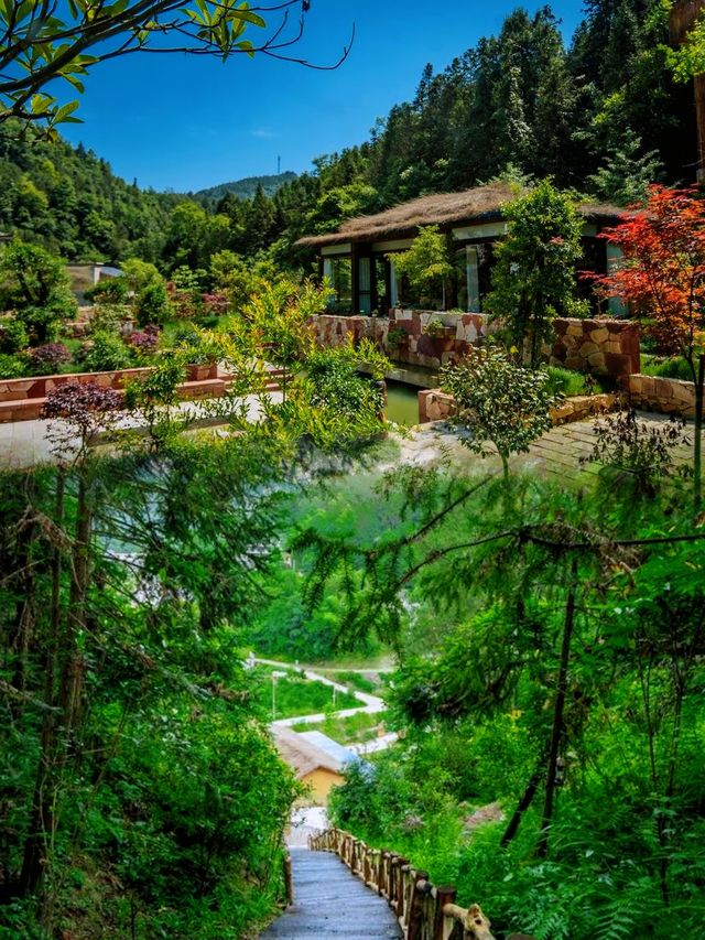 探秘仙境張家界，住進山水畫