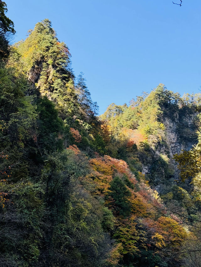 【每週出遊】漢中探秋，黎坪景區一日遊