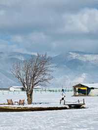 私藏雪景拍照聖地香格里拉民宿