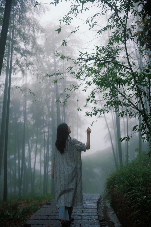 浙江 莫干山風景區