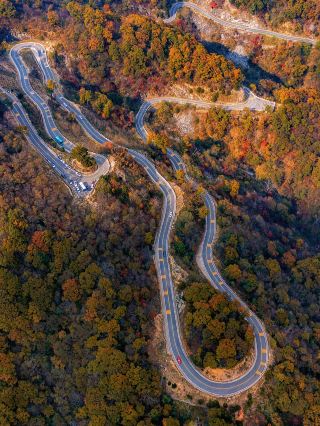 The best season of golden autumn in Jinzhai, Anhui has arrived