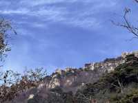 泰山