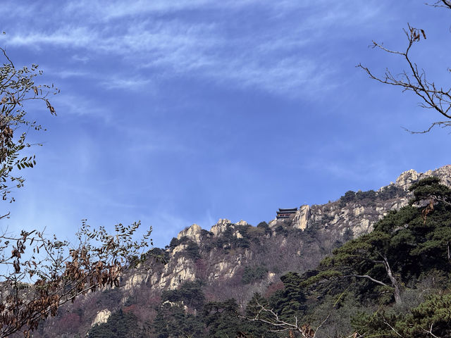 泰山