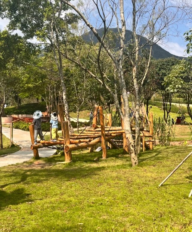 好像走進了莫奈的花園深圳恩上公園！
