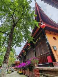 東方美神絕美打卡地