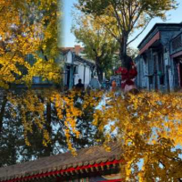 北京絕美秋日暴走路線胡同Citywalk+中山公園賞銀杏