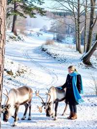 阿爾山秋色絕了！在大興安嶺遇見童話世界