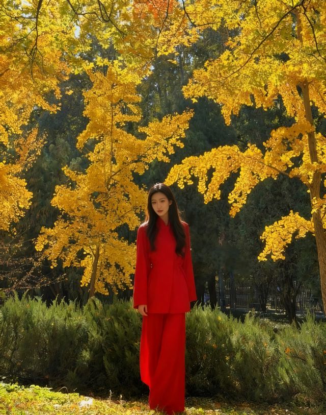 四得公園銀杏機位實拍|低角度這樣拍美炸了! 四得公園銀杏機位實拍|低角度這樣拍美炸了!