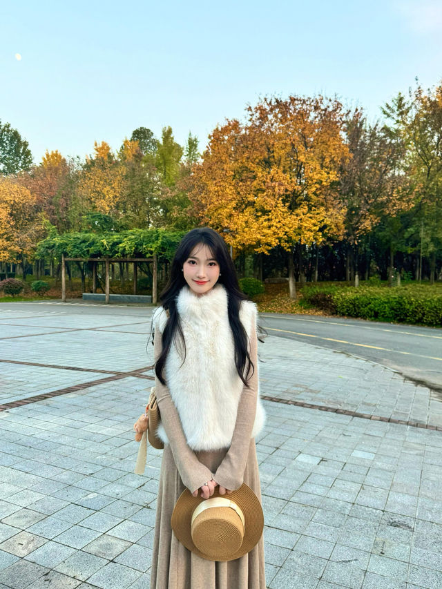 西安小眾賞秋秘境浐灞濕地公園銀杏打卡攻略