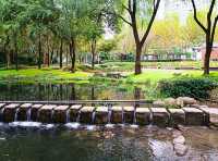 順便逛拍徐家匯公園