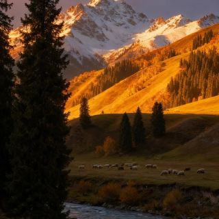 🍂卡納斯的秋天，帶上你的相機，沉浸在這幅畫卷中！ 📸