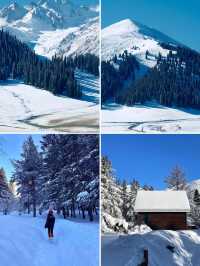 冬季伊犁|闖入冰雪仙境,享野奢之旅