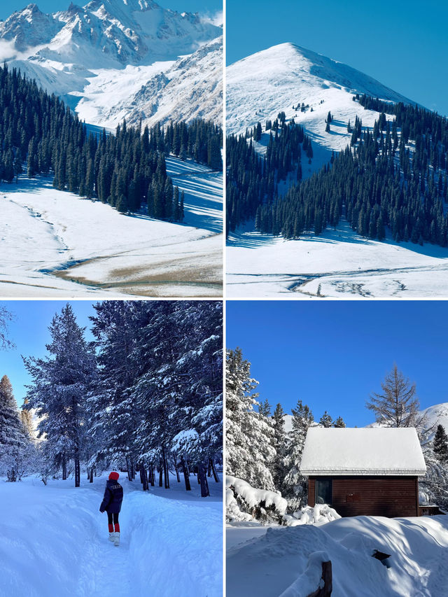 冬季伊犁|闖入冰雪仙境,享野奢之旅 冬季伊犁|闖入冰雪仙境,享野奢之旅