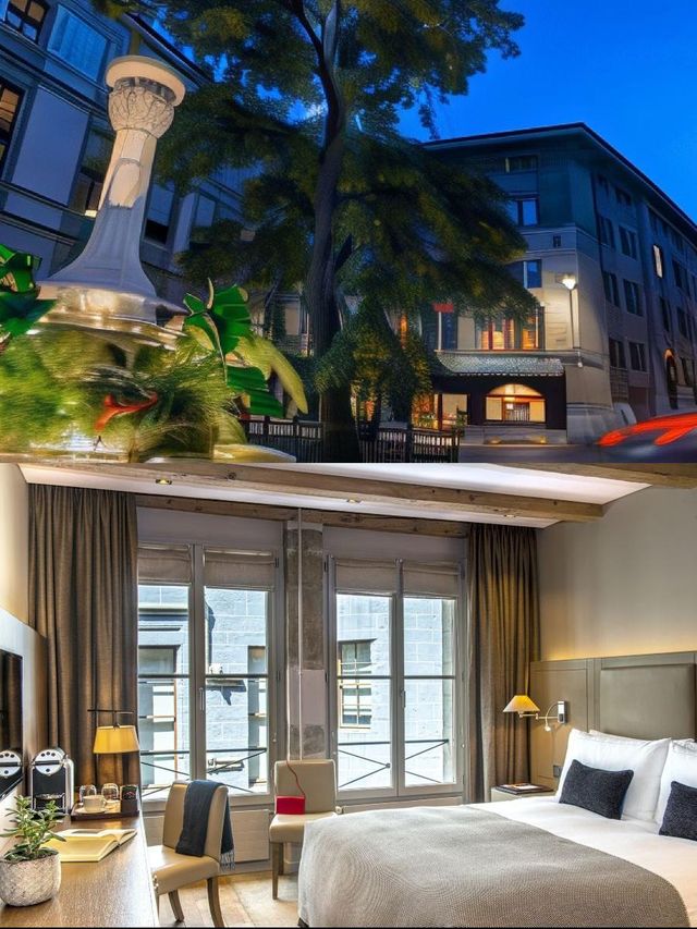 萊薩姆雷,親子遊的寶藏根據地! 萊薩姆雷,親子遊的寶藏根據地!