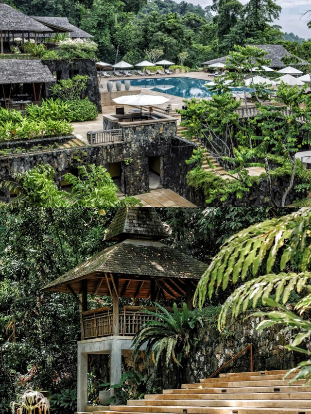 馬來西亞達泰蘭卡威酒店隱藏在熱帶雨林中的華麗天堂