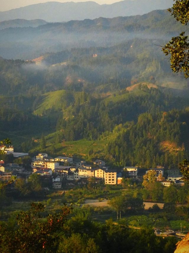 武夷山秋日秘境，美到窒息的旅行攻略