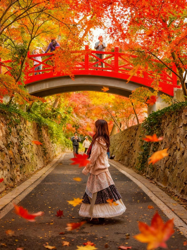 明孝陵2日遊攻略