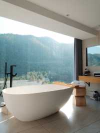 週末自駕莫干山帶毛孩子一起撒歡