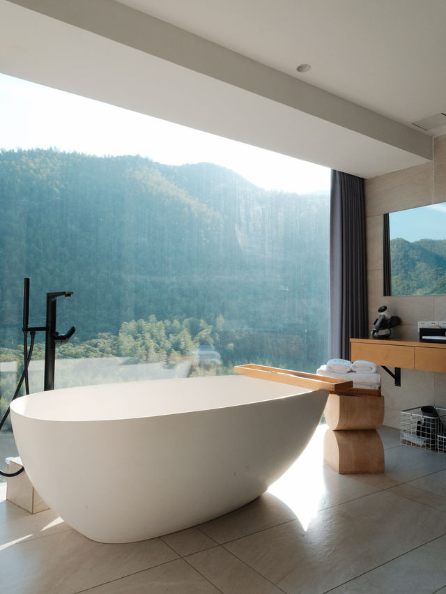 週末自駕莫干山帶毛孩子一起撒歡