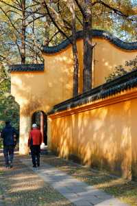 上海杭州周邊｜不在奈良，在諸暨