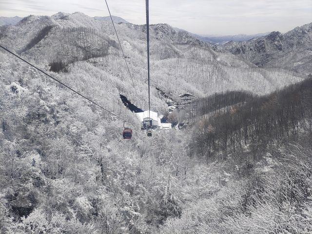 老君山雪地打卡指南