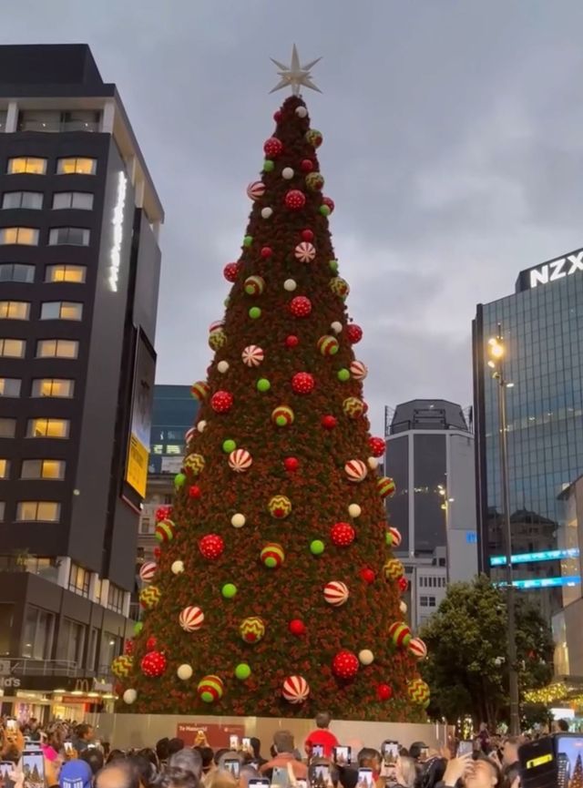 2025新西蘭聖誕狂歡季活動匯總