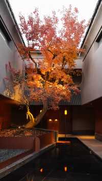 酒店才是目的地！為既下山而來大同