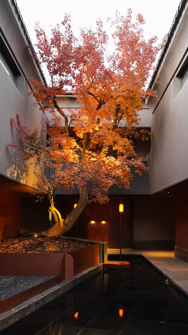 酒店才是目的地！為既下山而來大同