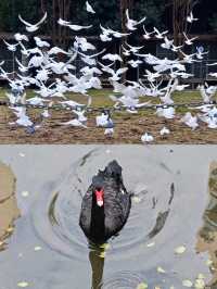 漢中2天1夜輕鬆遊｜成都出發，解鎖兩漢風情與煙火氣