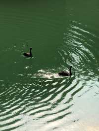 闖入億萬年前形成的峽谷