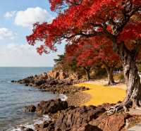 秋日的劉公島，是歷史與浪漫的碰撞。這份攻略帶你玩轉不一樣