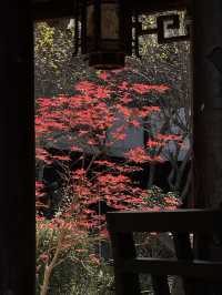 絕美莫愁湖打卡攻略