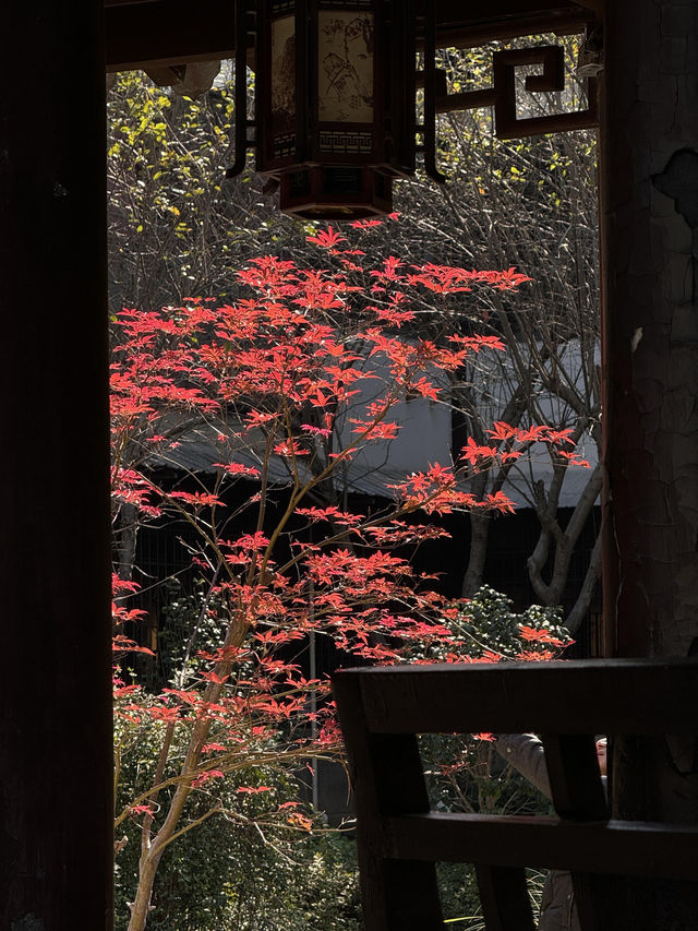 絕美莫愁湖打卡攻略