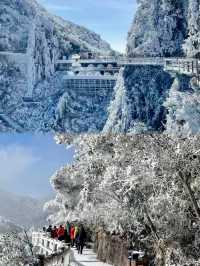 廣東出發1.5h直達冰雪王國莽山霧淞+懸崖溫泉攻略