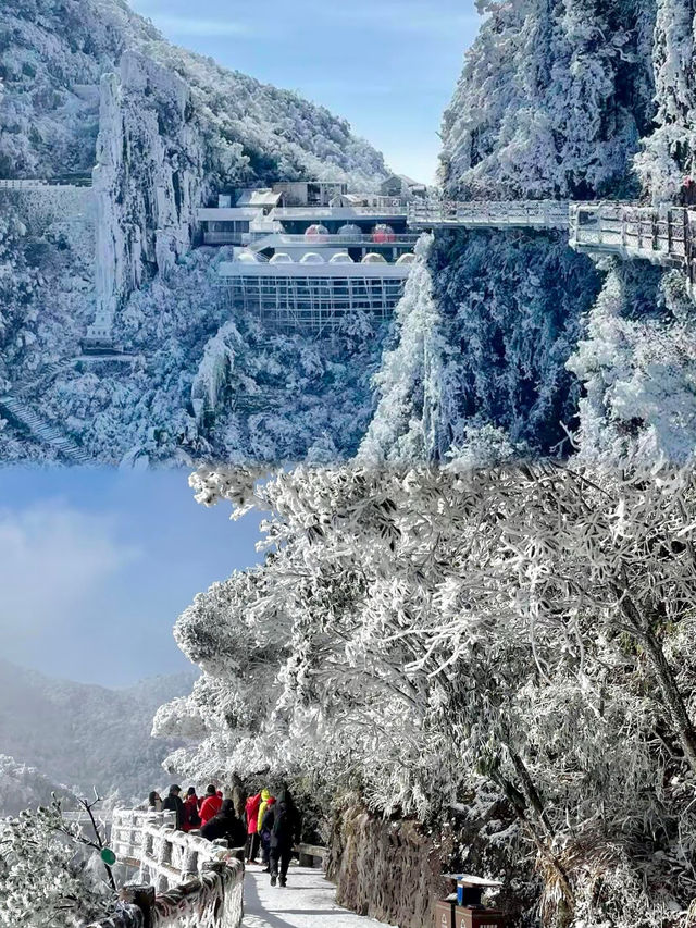 廣東出發1.5h直達冰雪王國莽山霧淞+懸崖溫泉攻略