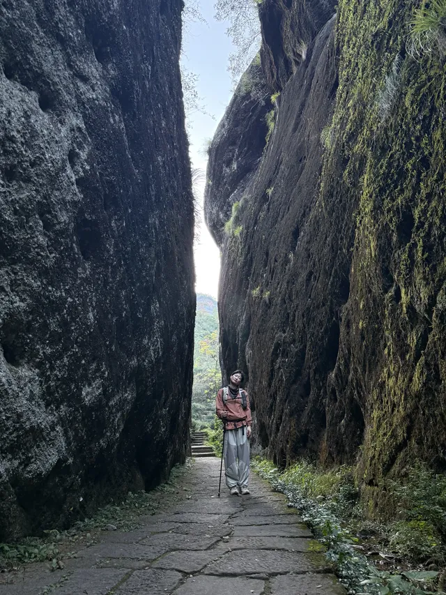 福建武夷山,徒步在最美茶道,看盡丹霞風貌 福建武夷山,徒步在最美茶道,看盡丹霞風貌