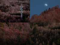 四姑娘山3日旅拍攻略冬季絕美山景這樣拍！