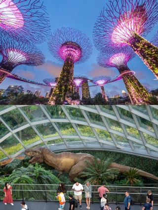 Give up Japan, visa-free Singapore is the perfect safe winter vacation spot for kids to have fun